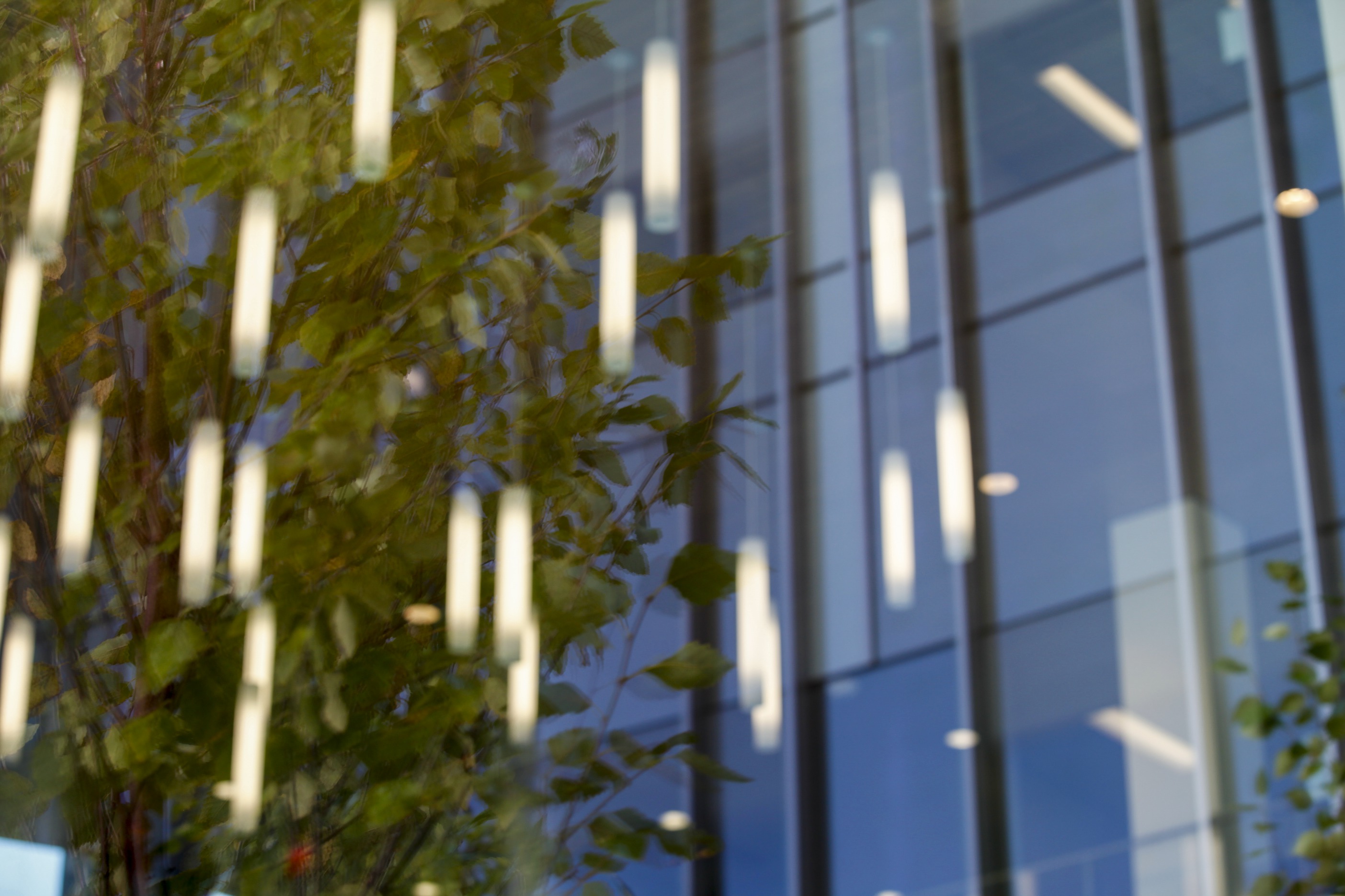 Exterior view of JAX Genomic Medicine in Farmington, Connecticut (CT), showing trees reflected in the windows with the cylindrical lighting within.