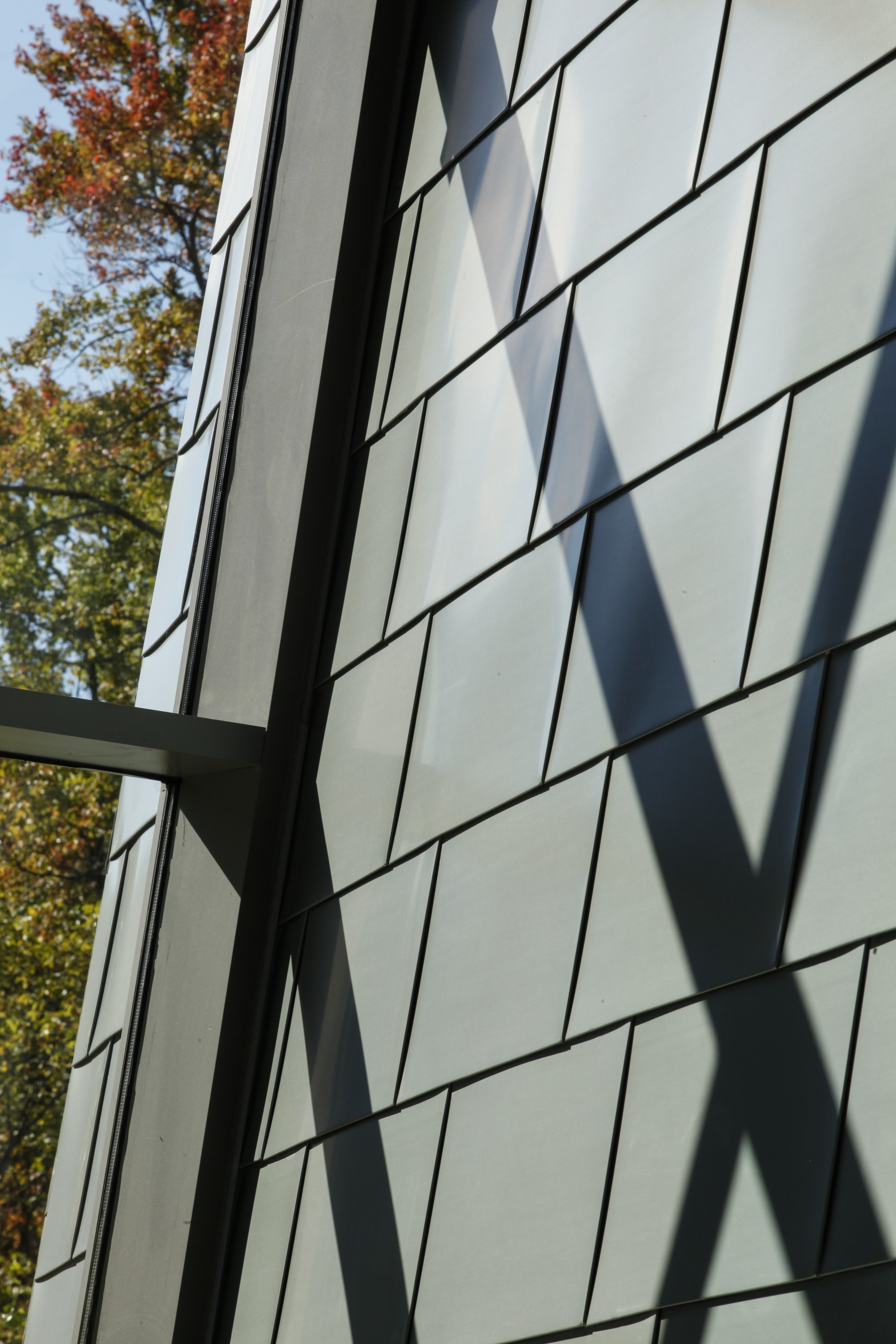 Shadows on the wall of the lobby of JAX Genomic Medicine in Farmington Connecticut (CT).